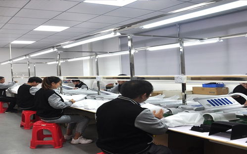 2026年4月新消息 深圳坪山一站式双色模具厂家如何赋能小家电创新，信息技术咨询服务的突破路径